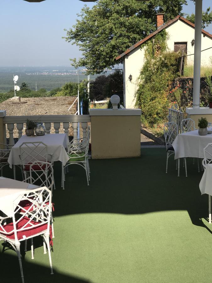 Panorama Hotel Und Restaurant Schlossberg Alzenau in Unterfranken Ngoại thất bức ảnh